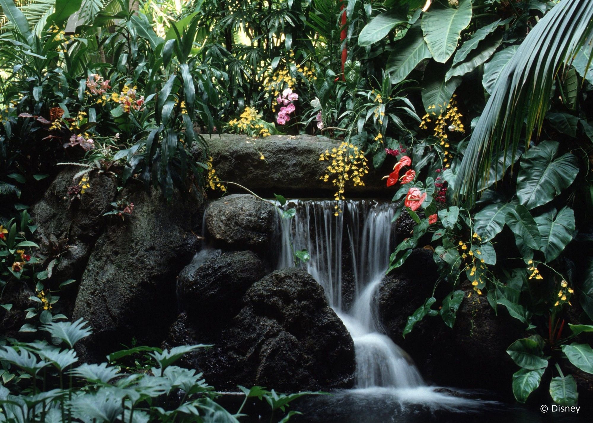 Disney'S Polynesian Village Resort Orlando Luaran gambar